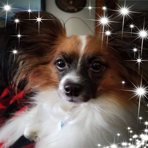 Meet your Posher, Deborah